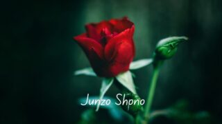 庄野潤三作品一覧｜出版順・年代順で読む全長編と短編集 - 時空標本